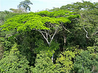tTambopata